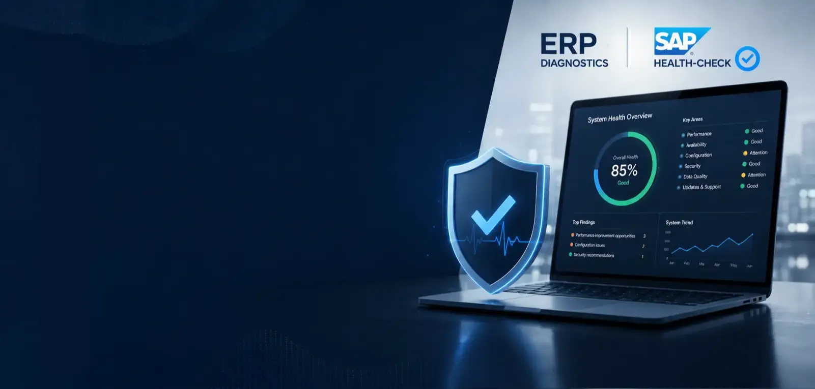 ERP Diagnostic & SAP Health-check