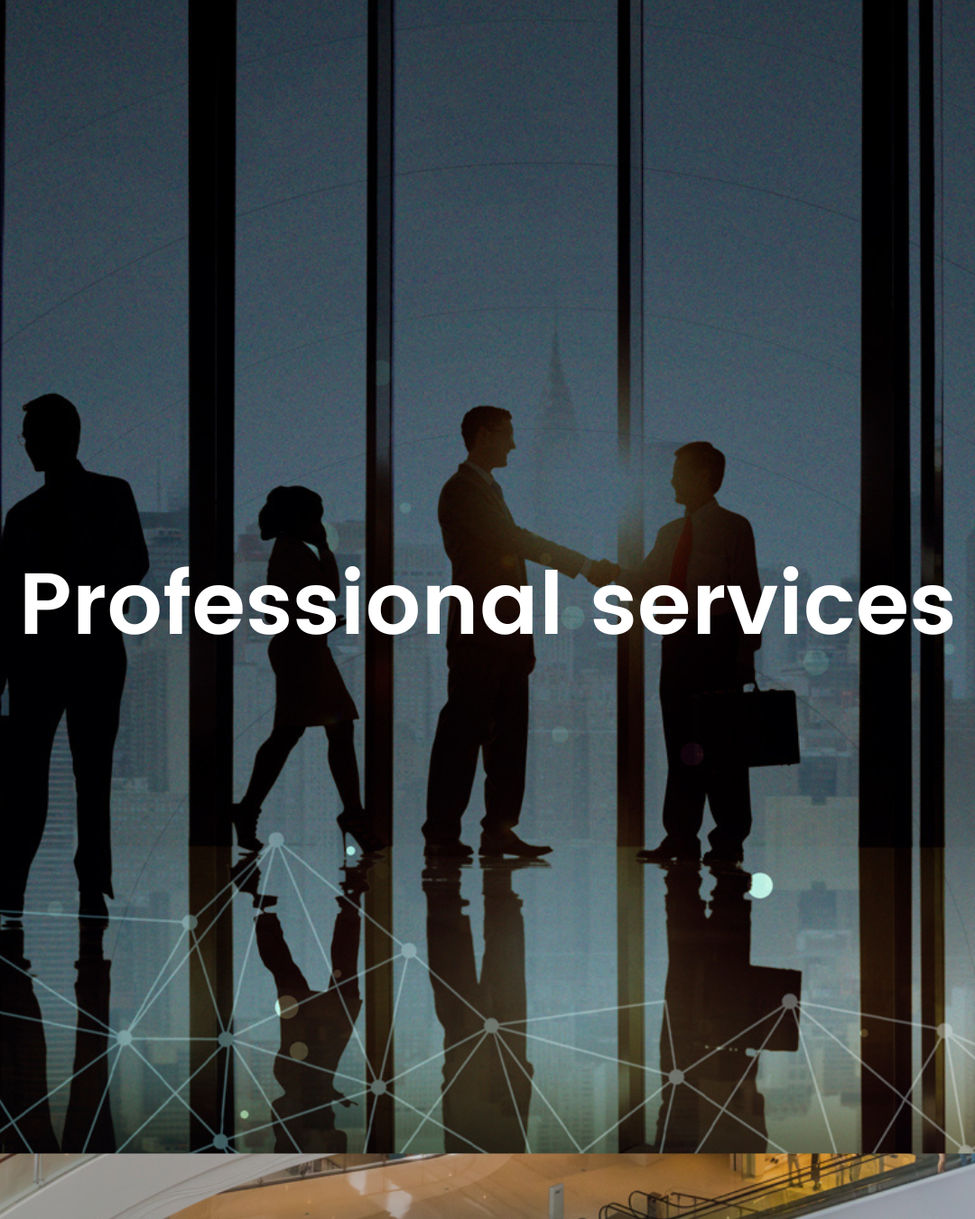Professional services