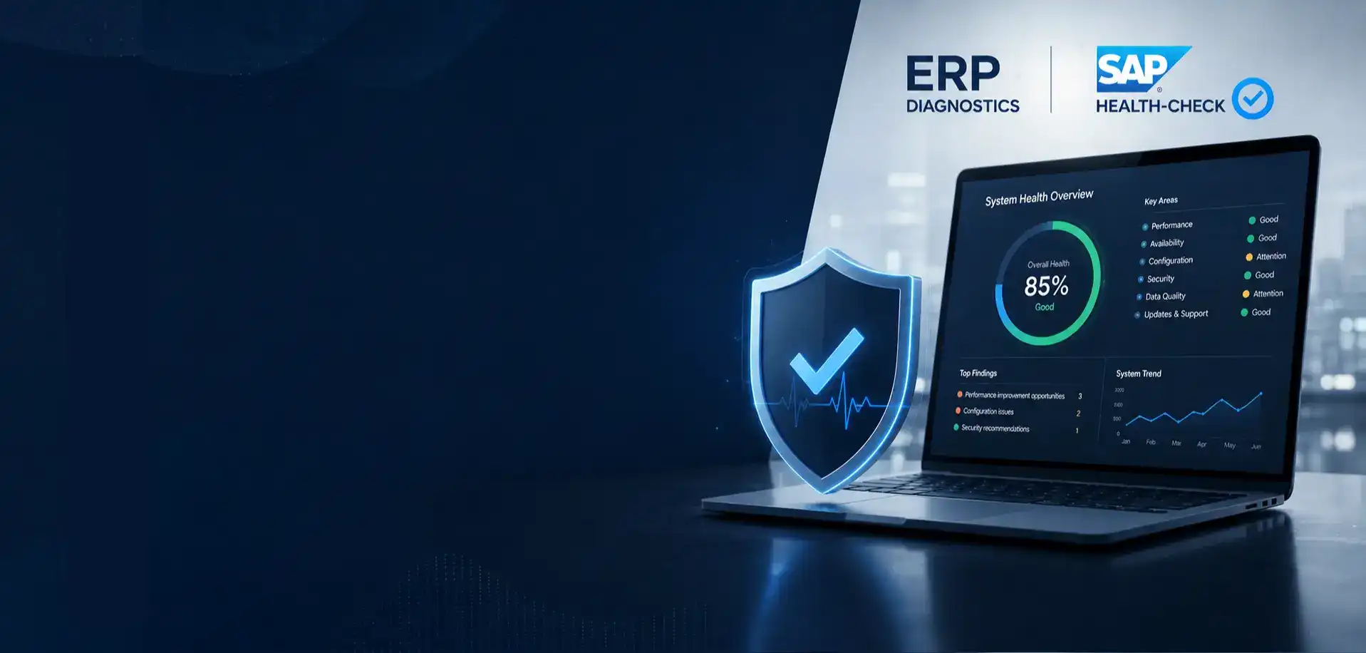 ERP Diagnostic & SAP Health-check